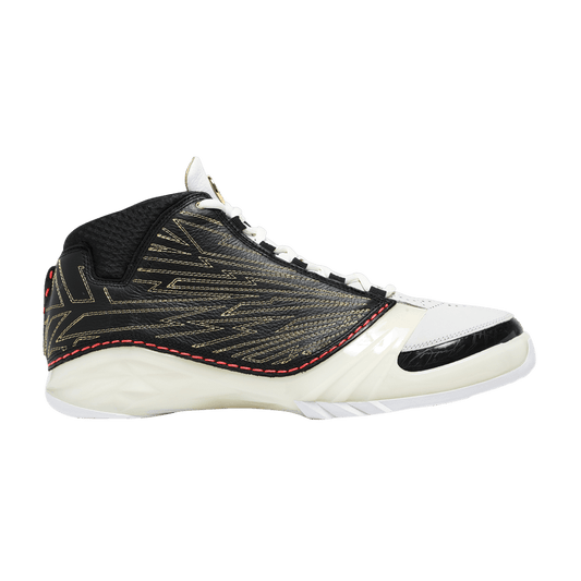 Titan x Air Jordan 23 Retro SP '10th Anniversary'